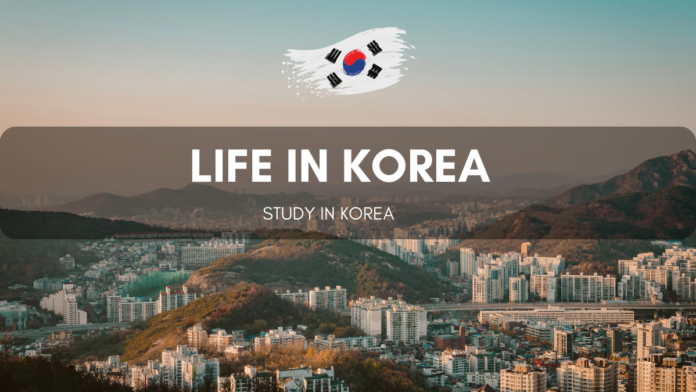 life in korea
