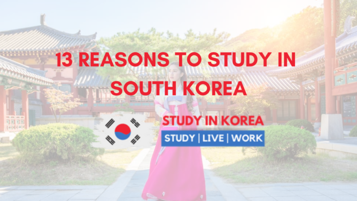 REASONS TO STUDY IN SOUTH KOREA